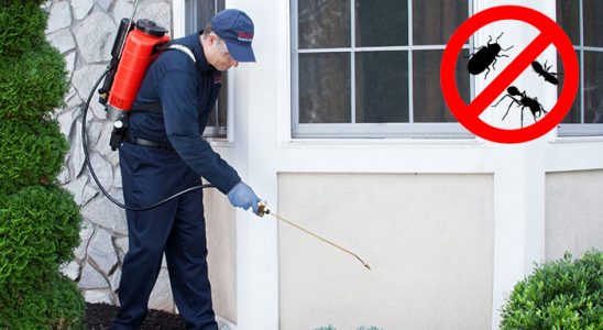Tokat Gümüşkurt İlaçlama böcek ilaçlama ve haşere kontrolü — ilaclama-tr.com